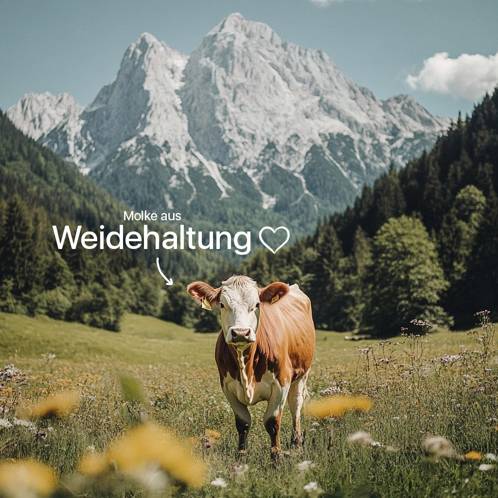Pure Protein (neutral) - Proteinpulver ohne Zusatzstoffe