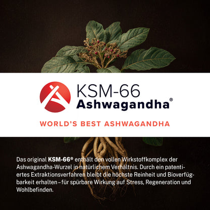Bio-Ashwagandha KSM66® (im Braunglas)